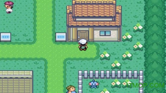 口袋妖怪究极绿宝石4 口袋妖怪究极绿宝石4下载