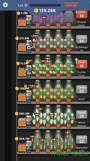 闲置杂草工厂游戏