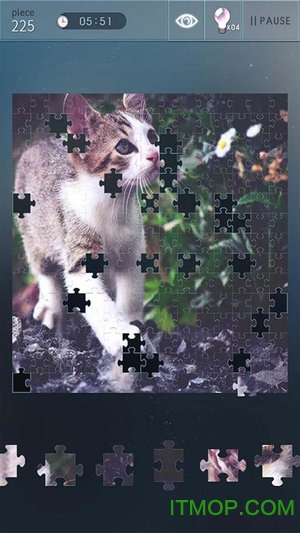 益智拼图世界游戏 益智拼图世界游戏