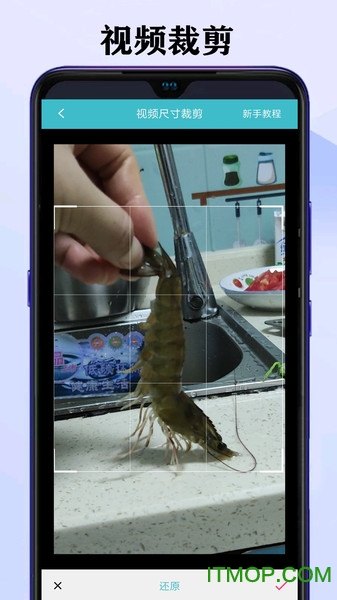 短视频去水印大师app下载