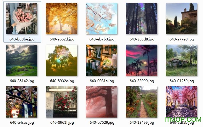 2020带来好运的微信头像风景