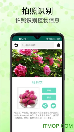 识花草 识花草app
