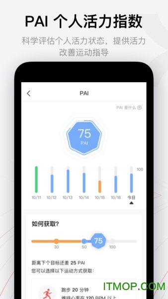 华米手表2app下载