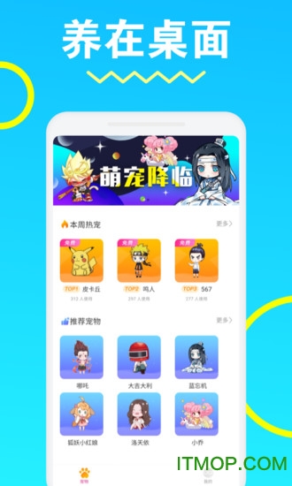 安琪拉桌面宠物app