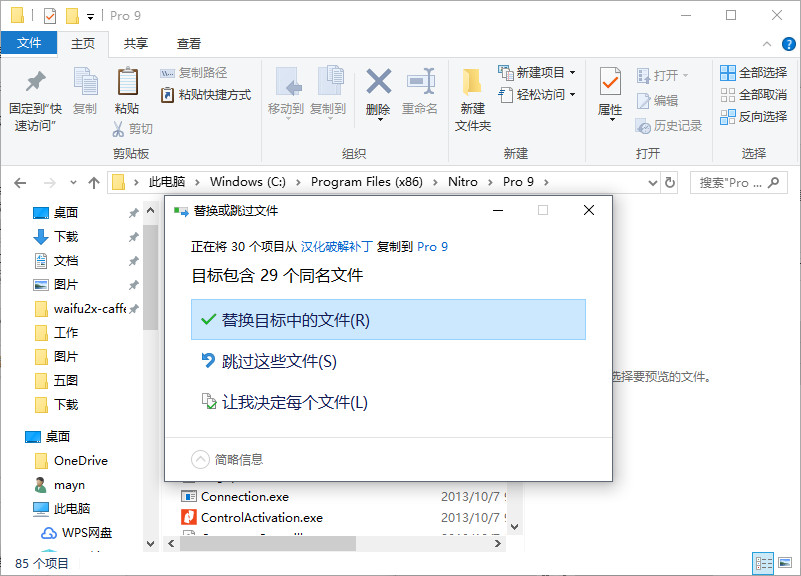 nitro pro 9中文版