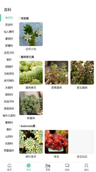 肉肉家 肉肉家app下载