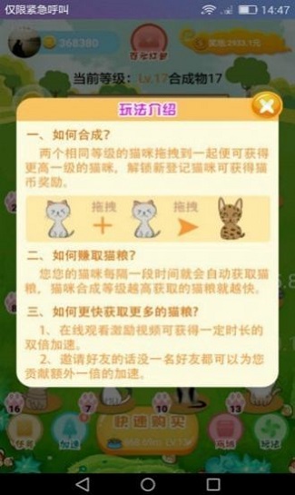 萌猫派对游戏