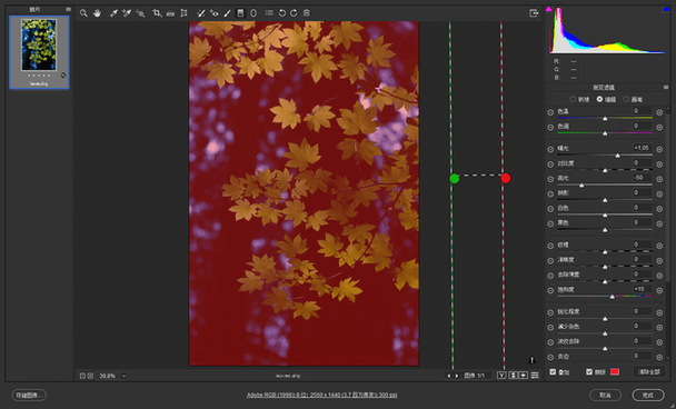 Adobe Camera Raw Adobe Camera Raw安装
