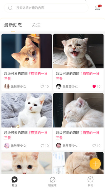 云养猫app