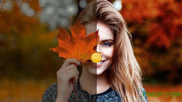 Moody Photoshop Panel免费下载