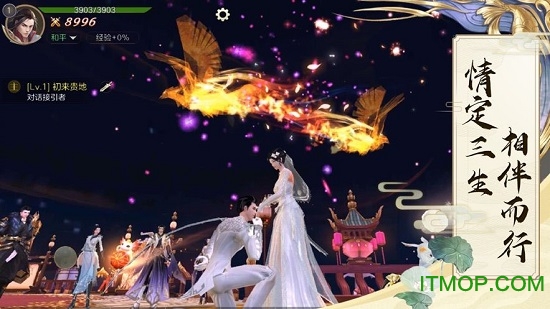 仙灵幻境4藏锋服下载