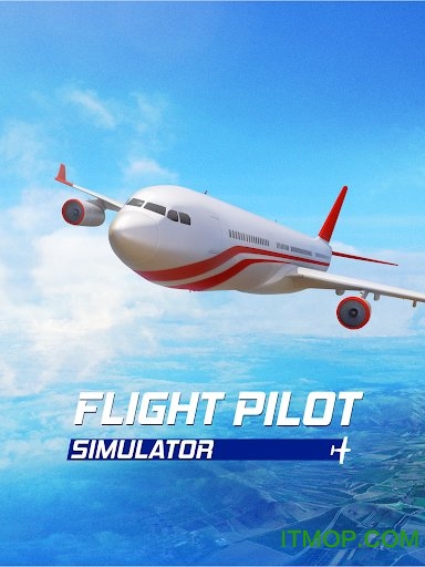 flight pilot simulator 3d游戏