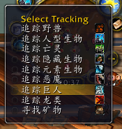 魔兽世界怀旧服Tracking Eye插件下载