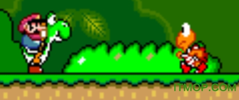 IntegerScaler免费版