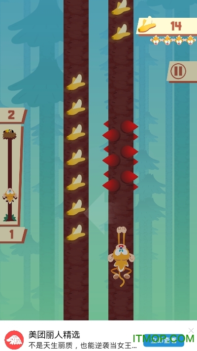 气老猴游戏下载