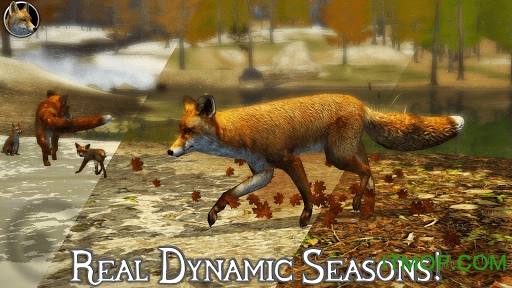 终极野狐模拟器2下载