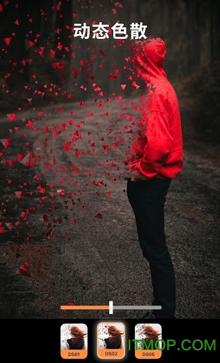 Enlight Pixaloop Pro下载