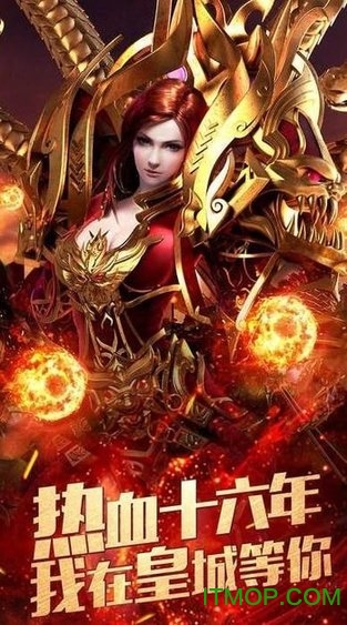 龙雀私服手游下载