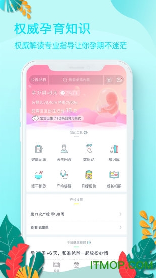 好孕妈手机版下载