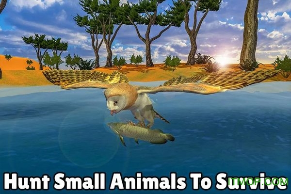 猫头鹰模拟器手机版