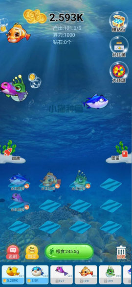 小猫种鱼app下载