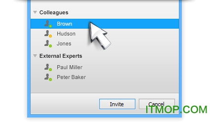 teamviewer中文绿色版