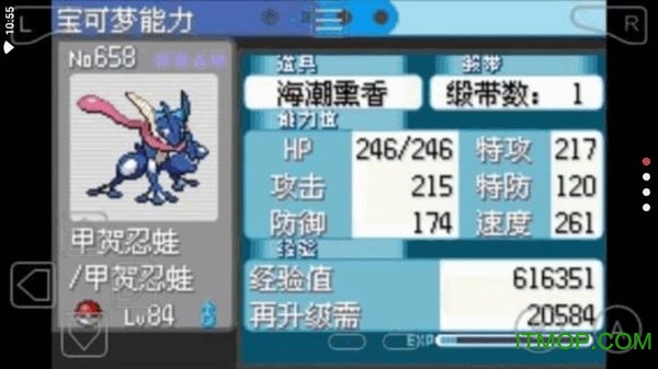 口袋妖怪白之雪下载手机版