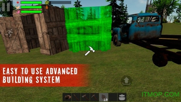 幸存者被遗忘的森林中文版