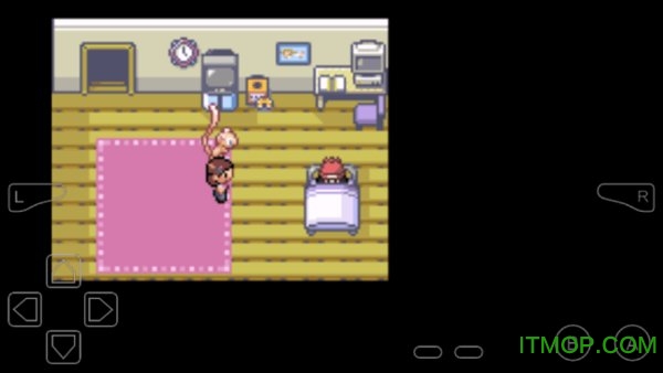 口袋妖怪日月宝石八木特别篇