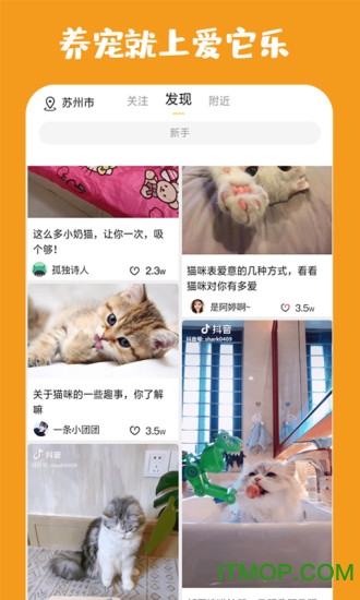 爱它乐app