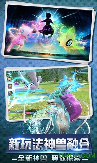 口袋喵喵海量特权版下载