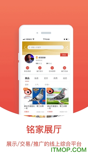 赛鸽头条app下载