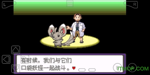 口袋妖怪永恒之炎xyz最新版