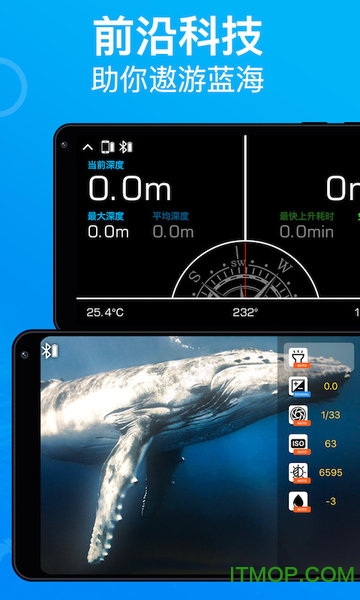 Dive+潜水app