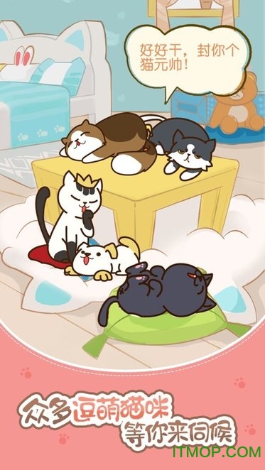 萌猫变变变游戏