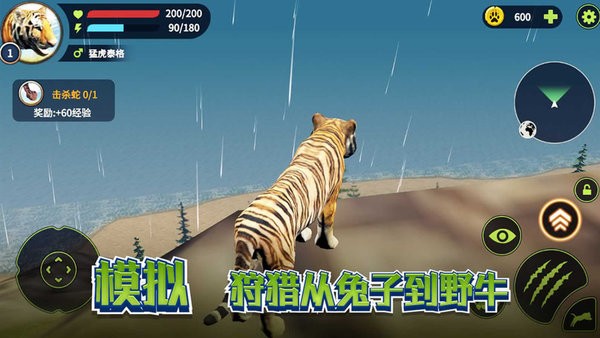 老虎生存大作战游戏