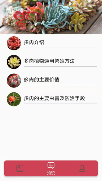 多肉花草日记免费下载