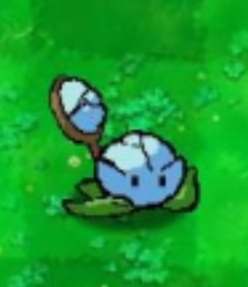 植物大战僵尸图片7