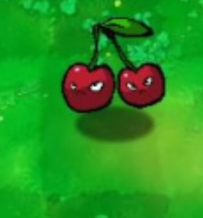 植物大战僵尸图片8