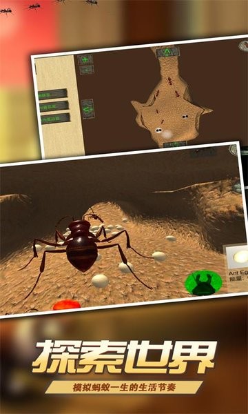 蚂蚁世界模拟器小游戏