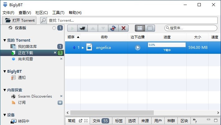 BiglyBT种子下载器安装