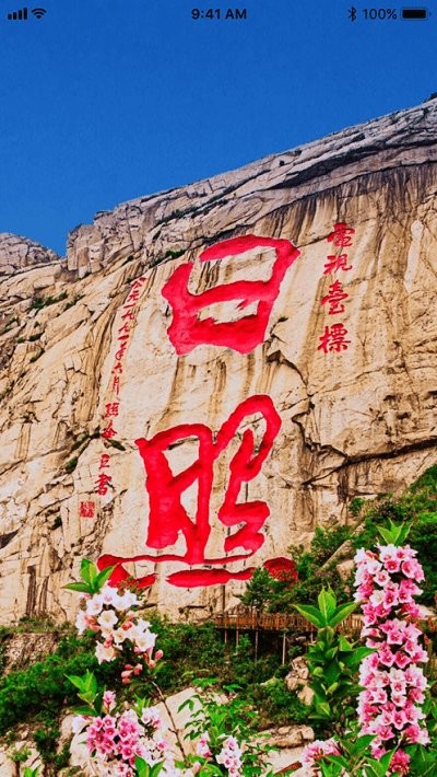 日照市场监管app