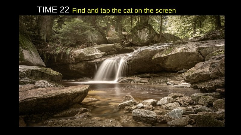 寻找隐藏猫咪 寻找隐藏猫咪游戏