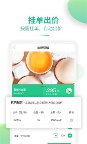 道农拍app 道农拍app