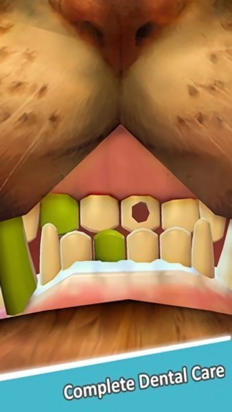 兽医模拟器游戏