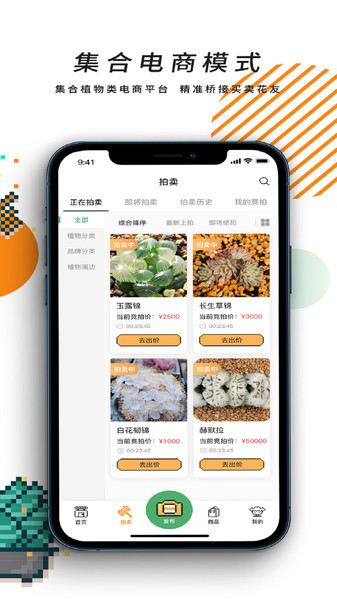 一植拍app