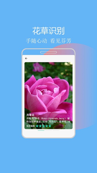 拍照识图助手app