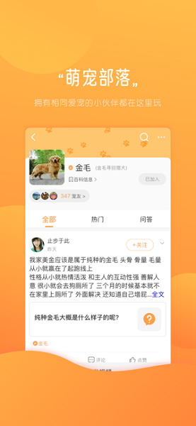 宠物部落 宠物部落软件