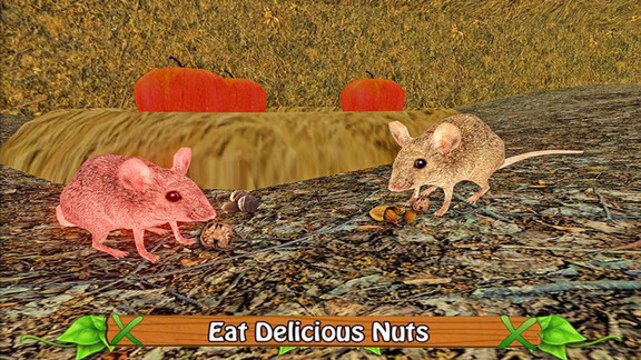 野生老鼠模拟器中文版 野生老鼠模拟器游戏