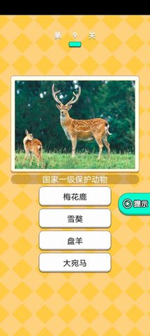 动物研究院 动物研究院游戏